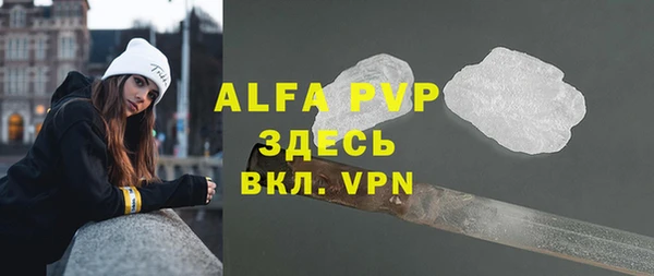 метадон Богданович