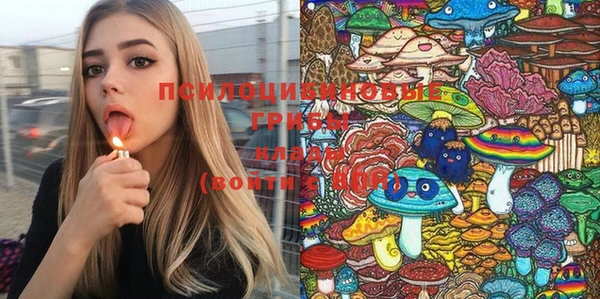 метадон Богданович