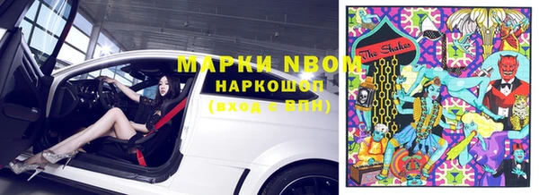 метадон Богданович