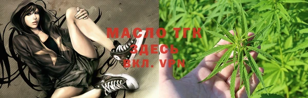 метадон Богданович
