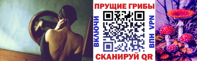 купить закладку  Богородицк  Галлюциногенные грибы GOLDEN TEACHER 